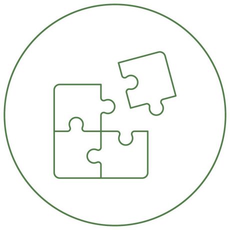 Ikona trainee program